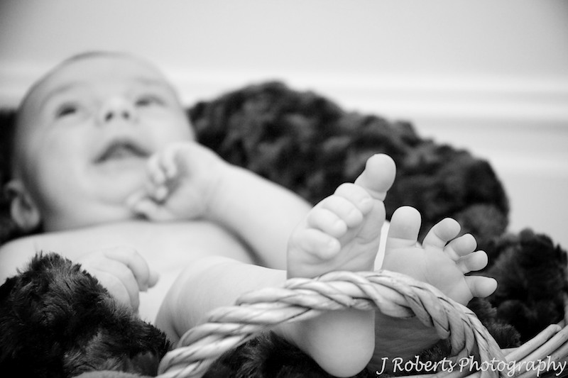 Baby lying in basket with focus on feet - baby portrait photography sydney